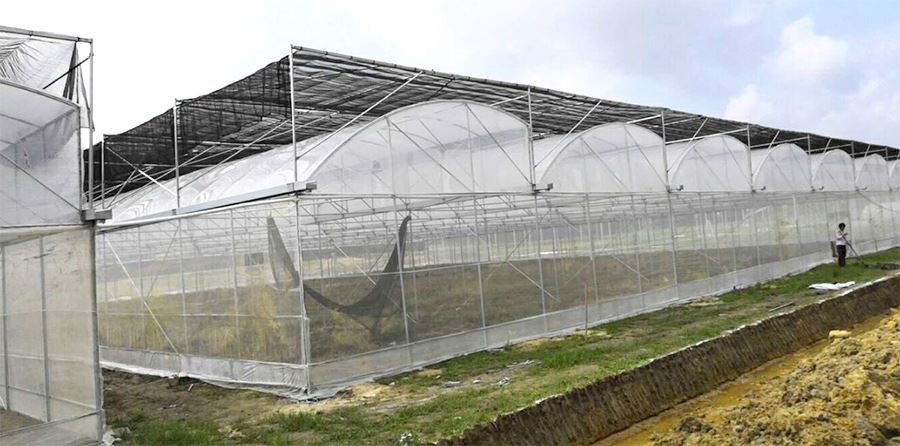 6 mil clear plastic sheeting for greenhouse factory