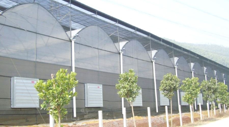 cold frame plastic sheeting for greenhouse manufacture