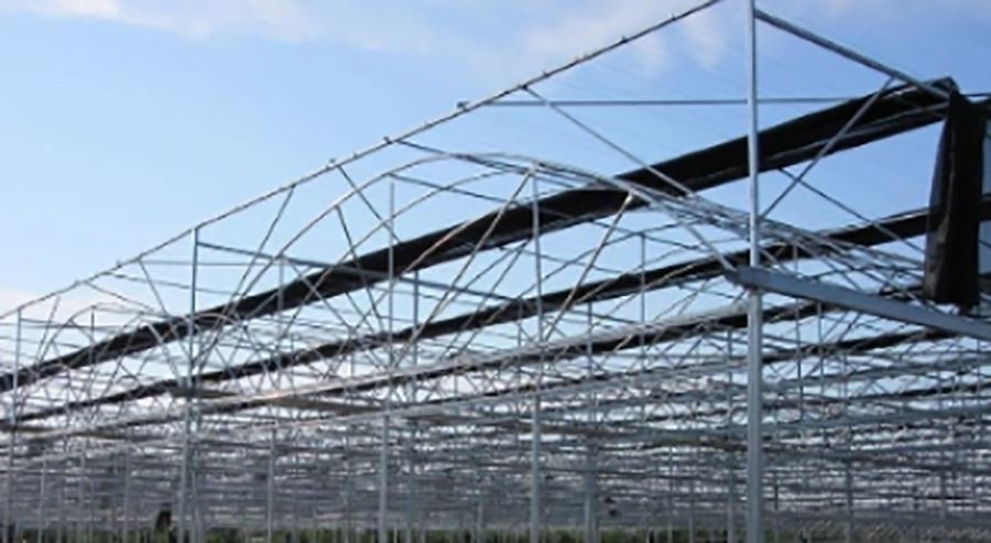 cold frame plastic sheeting for greenhouse factory