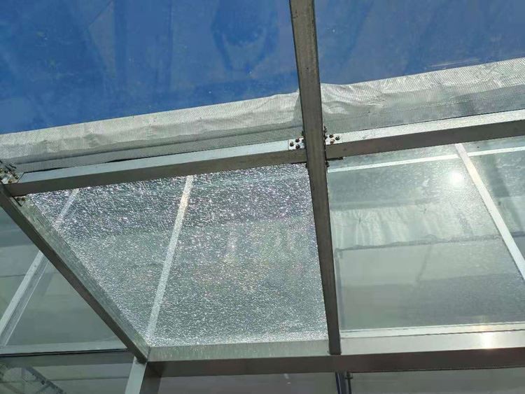 Glass Agricultural Greenhouse Glass Agricultural Greenhouse