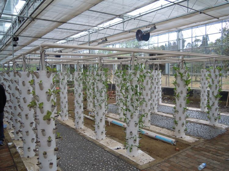 intelligent greenhouse intelligent greenhouse