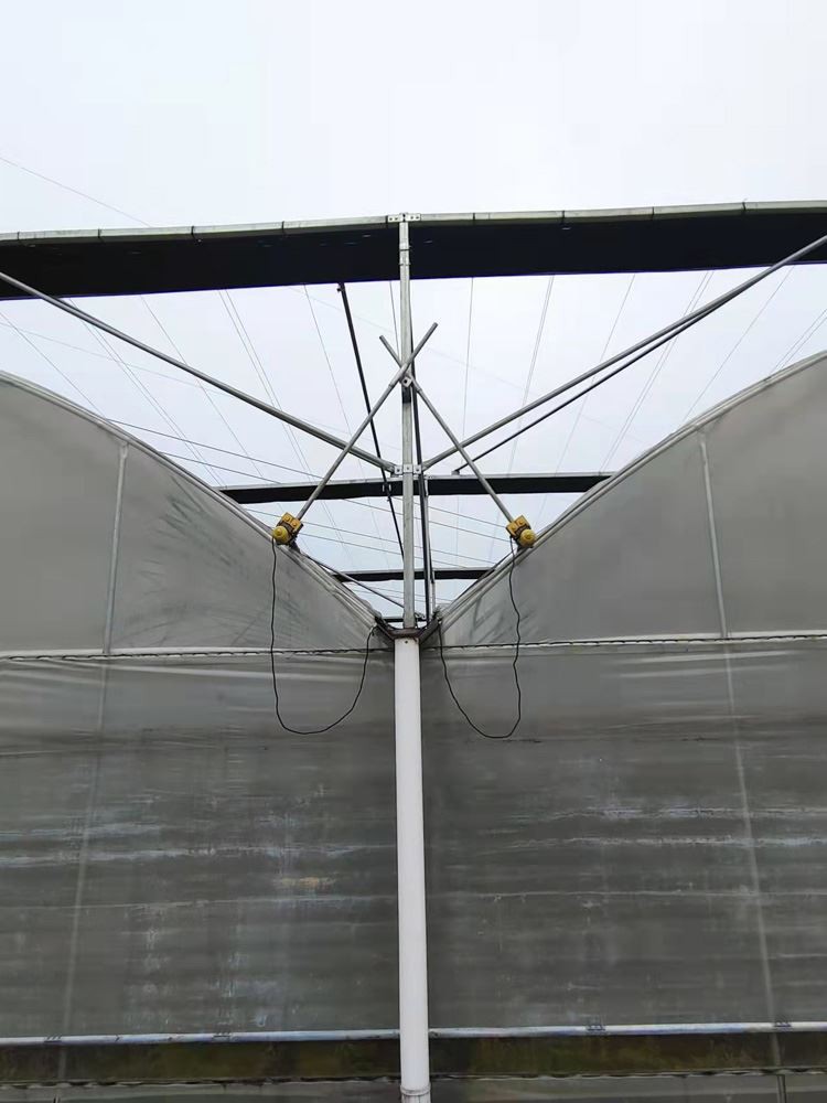 Plastic Film Greenhouse Plastic Film Greenhouse