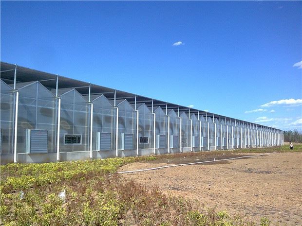 Ribbon type plastic film greenhouse technology scheme Ribbon type plastic film greenhouse technology scheme