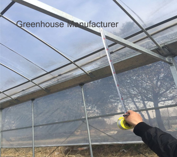 multi-span greenhouses multi-span greenhouses