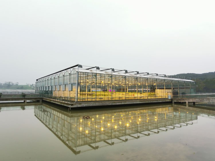 Greenhouse engineering is a greenhouse with glass as the main light-transmitting covering material Greenhouse engineering is a greenhouse with glass as the main light-transmitting covering material