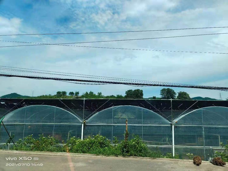 How to deal with the greenhouse in the rainy season and what to do How to deal with the greenhouse in the rainy season and what to do