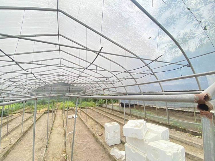 Agricultural Greenhouse Agricultural Greenhouse