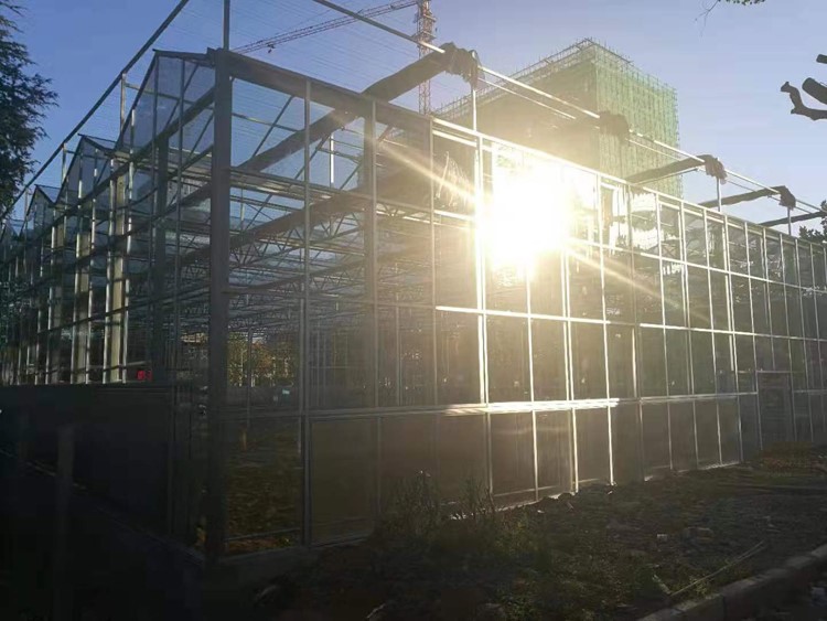 What is a smart greenhouse What is a smart greenhouse