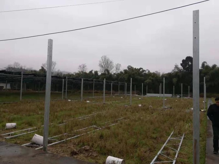 The scale of plastic multi-span greenhouse