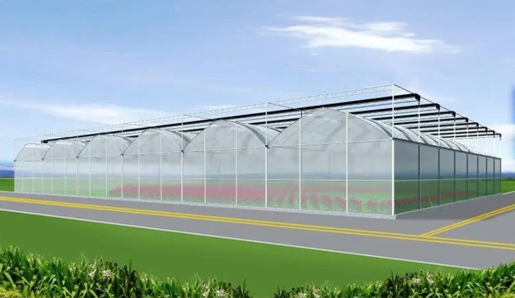 Muti-span Plastic Film Greenhouse Muti-span Plastic Film Greenhouse