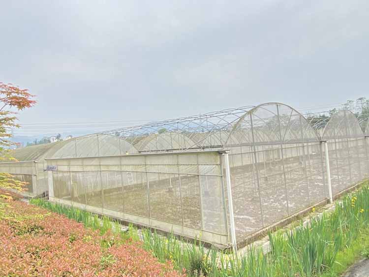 Vegetable Greenhouse