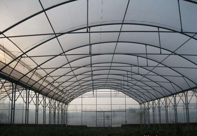 Methods of daily maintenance of vegetable greenhouses Methods of daily maintenance of vegetable greenhouses