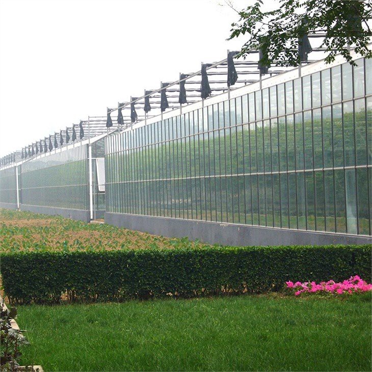 Transparent Multi Span Greenhouse china