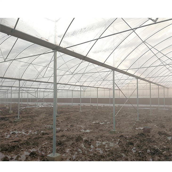 china uv resistant clear plastic sheeting